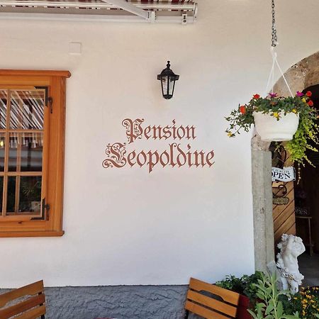 Pension Leopoldine Hallstatt Exteriér fotografie