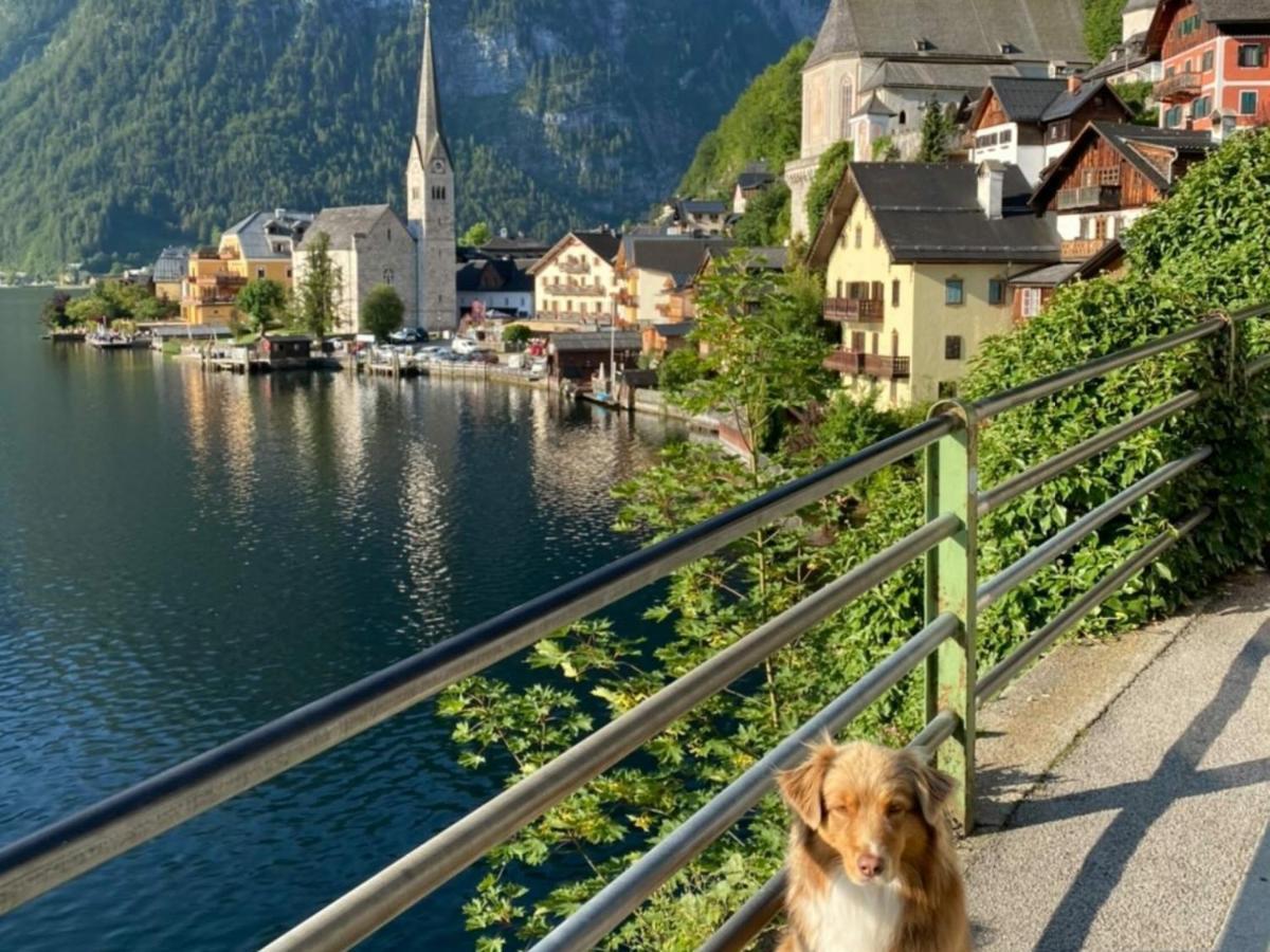 Pension Leopoldine Hallstatt Exteriér fotografie